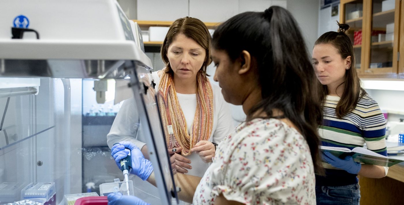 Professor of Biology April Hill in her Carnegie Science Lab, Room 404, training two "new scientists." “For me, it’s like being a coach," she says. Names forthcoming.The two students in the lab with Hill are Sara King ’21 of Newton Center, Mass., and Jasmine Nutakki ’21 of Augusta, Maine. Hill says: “They were learning to use a technique called the polymerase chain reaction (PCR) to amplify genes from freshwater sponges. Both students (and some others) will be working over short term on a project funded by my NSF grant to study the gene networks involved in animal:algal symbioses. In this case, the animals are sponges and the algae are Chlorella.” 