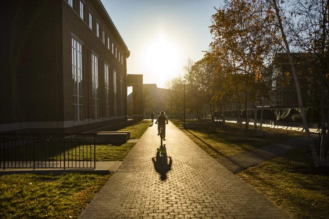 Scenes from early morning campus on Nov. 9, 2021. The sun silhouettes students on Alumni Walk early this morning.