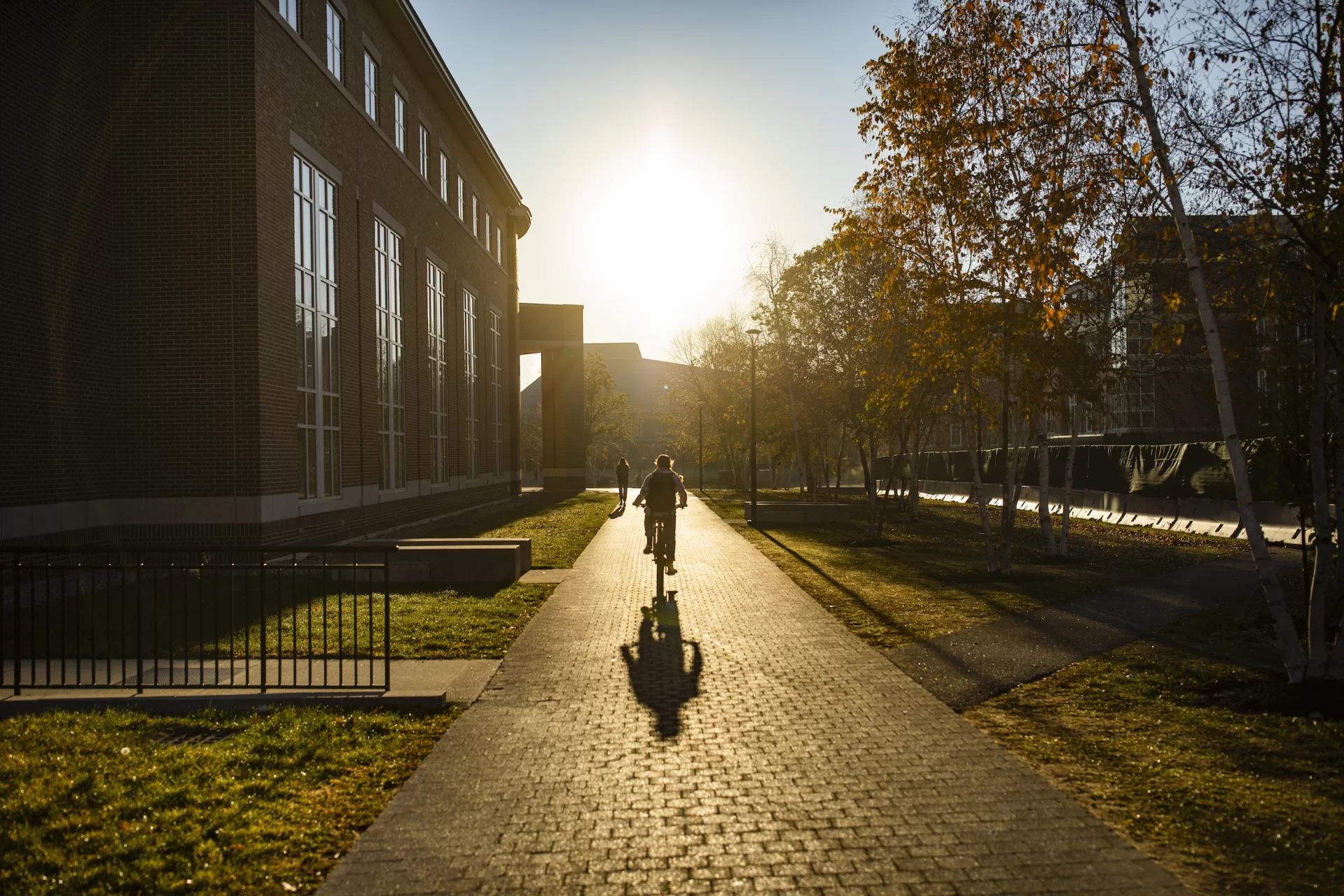 Scenes from early morning campus on Nov. 9, 2021.The sun silhouettes students on Alumni Walk early this morning.