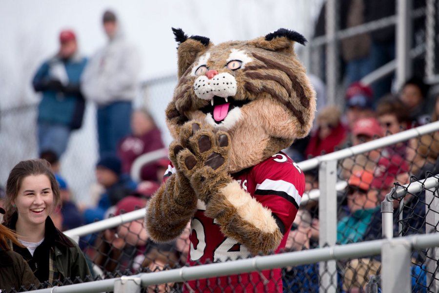 With an emphatic 31-0 victory over Bowdoin on Saturday at Garcelon Field, Bates won the CBB (Colby-Bates-Bowdoin) title outright for the second straight year and the third time in four years. It is the Bobcats' first time repeating as outright CBB champion since 1967.Bates' (2-5) senior class becomes the only one in the modern era, and the first since 1900, to win three CBB titles outright. Bates has also won at least a share of CBB bragging rights for five years in a row and in six of the past seven. Senior quarterback Patrick Dugan (Westford, Mass.) rushed for 137 yards and a touchdown and passed for 114 yards and a score to lead the Bobcat offense, with senior Mark Riley (Needham, Mass.) catching five passes for 93 yards and a touchdown. Dugan posted the most rushing yards by a Bates player since Patrick George rushed for 144 against Hamilton in 2012.