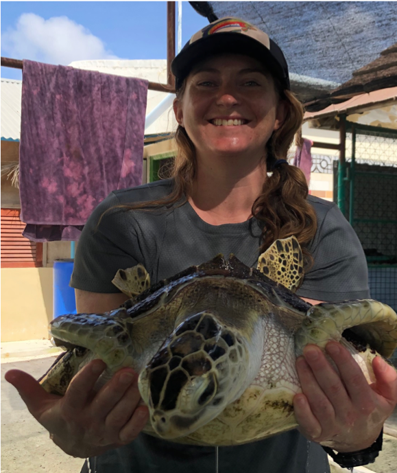 zMoving some of the Centre’s residents around to clean their tanks. Pictured Left- Donatello. 