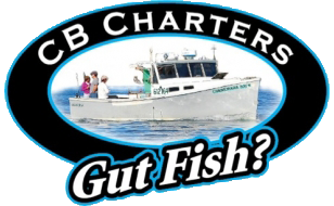 Connemara Bay Fishing Charters