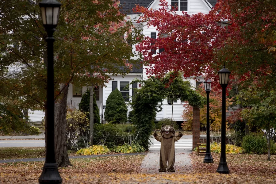 The Bates Bobcat swings through campus during the height of fall foliage.