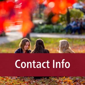 Contact Info