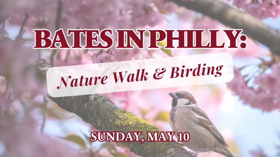 Bring your best bird calls and stroll along with fellow Bates alumni and current families&hellip;