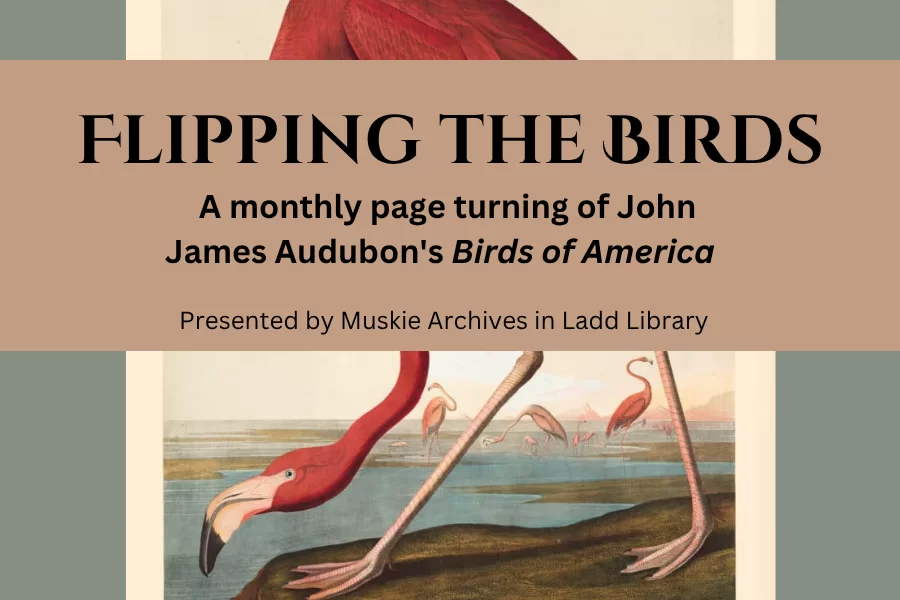 Please join us for February's page turning of John James Audubon's Birds of America at 12:30pm in the&hellip;