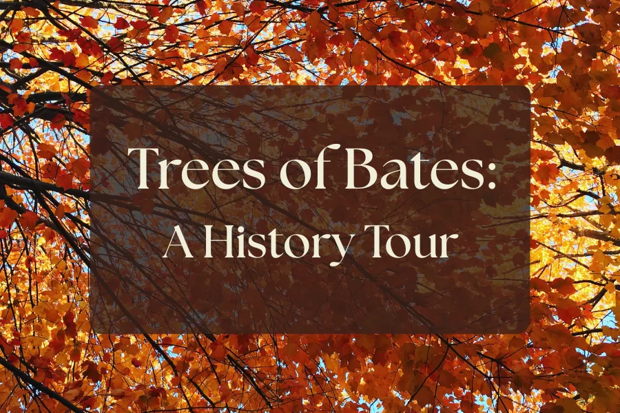 Cancelled due to weather.



Come join us as we explore the evolution of the trees on&hellip;