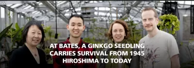 At Bates, a Ginkgo Seedling Carries Survival from 1945 Hiroshima to Today