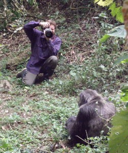  Andrew Bernard photographs a chimpanzee in Kibale National Park, Uganda.