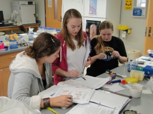 Technical Writing Assistant Caroline Barr '11 (C) provides feedback to a lab group on a draft of their paper.