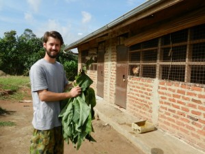 Conor Smith tends to chickens at The Kasiisi Project's farm, which helps support a free school lunch program and also functions as an environmental education center for the local community.