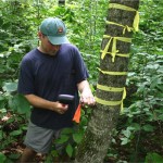 Brett sampling trees.