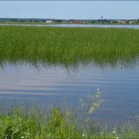Sea Level Rise and Wetlands