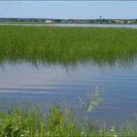 Sea Level Rise and Wetlands Sea Level Rise and Wetlands