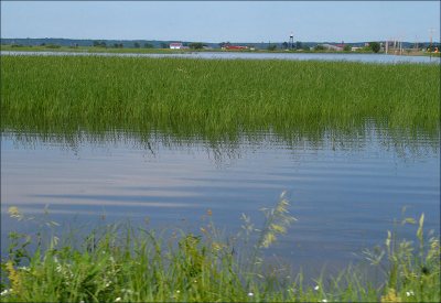 Rising sea level could threaten wetlands, especially in areas where human development has created artificial boundaries around the margins of the wetland.