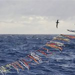 Iron Fertilization and Bird Strikes Iron Fertilization and Bird Strikes