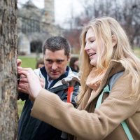 Dendrology class develops campus tree website Dendrology class develops campus tree website