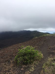 Trail to the chimney of Sierra Negra