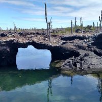 Snorkeling in Tuneles and swimming under lava tunnels