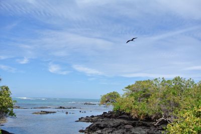 One of the views from the trail on the way to the Wall of Tears. A frigate bird soars above.