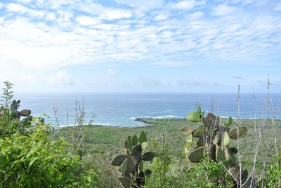 View from the summit of the Wall of Tears trail. You can see prickly pear cacti, which Darwin’s finches and saddle-backed tortoises enjoy eating the fruits from!