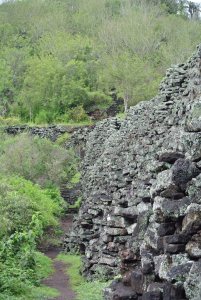 Pictured above is the Wall of Tears. Given the age of the lava rock, lichens have begun to spot the wall, giving it the slightly greenish tinge. We climbed up the stairs on the far end of the wall for our hike. 