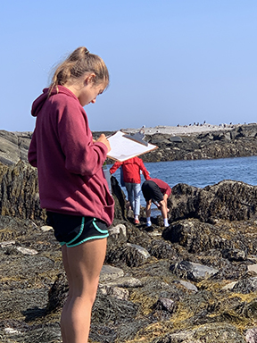Student in Bio 195a fall 2019