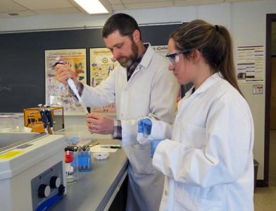 Erica Gagne '15 did a thesis with Dr. Brett Huggett examining the effect of the Hemlock woolly adelgid on starch and sugar distribution in in the eastern Hemlock.