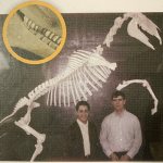 A Carnegie icon turns 50 A Carnegie icon turns 50