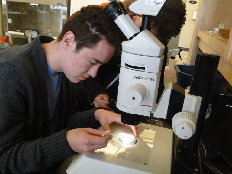 Available Internships Biology Bates College