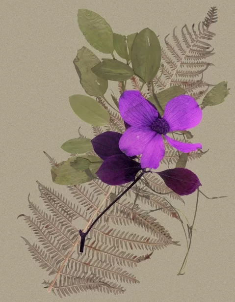 We have pressed flowers, pretty paper, and a laminator! You bring your creativity and/or your&hellip;