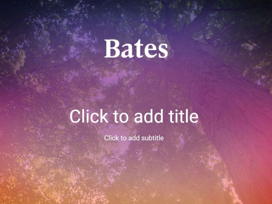 slide template