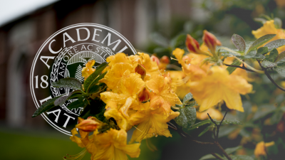 Bates Seal with overlapping blooming yellow flowers