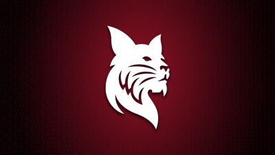 White Bates Bobcat over garnet background with shadow lighting