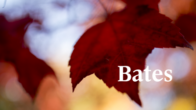 White Bates wordmark over large red maple leaf