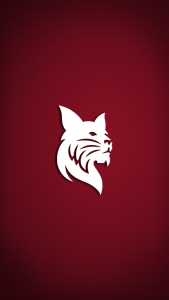 White bobcat over garnet background with shadow lighting