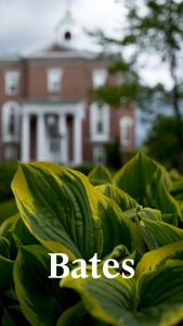 Closeup of greenery with Hathorn hall in background with white Bates wordmark