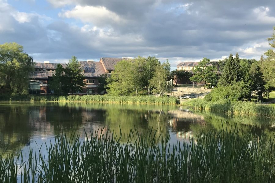 With Olin Arts Center beyonds its shores, Lake Andrews is tranquil and sun-splashed on a July afternoon.