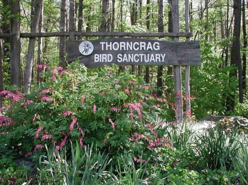 Thorncraig Sanctuary photo