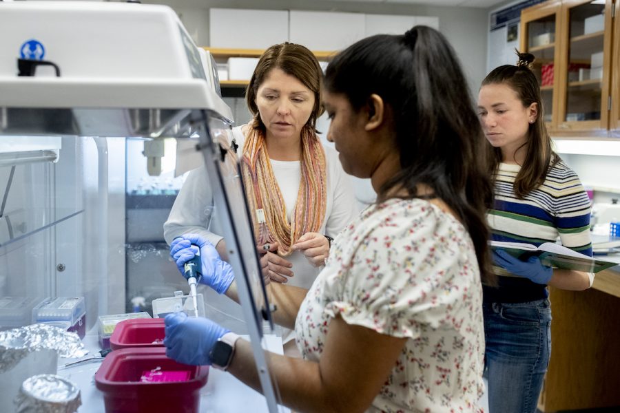 Professor of Biology April Hill in her Carnegie Science Lab, Room 404, training two "new scientists." “For me, it’s like being a coach," she says. Names forthcoming.

The two students in the lab with Hill are Sara King ’21 of Newton Center, Mass., and Jasmine Nutakki ’21 of Augusta, Maine. Hill says: “They were learning to use a technique called the polymerase chain reaction (PCR) to amplify genes from freshwater sponges. Both students (and some others) will be working over short term on a project funded by my NSF grant to study the gene networks involved in animal:algal symbioses. In this case, the animals are sponges and the algae are Chlorella.” 