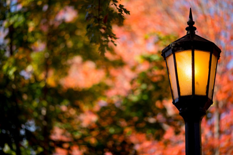 Fall foliage brings the Bates campus to life.