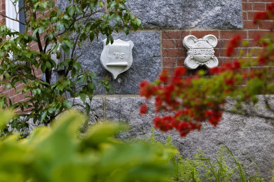 Ivy Stones