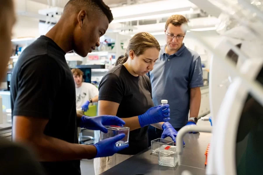 Students conduct research