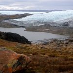 Geology Lunch 11/13/2018 – Dr. Simone Whitecloud – Plant-plant and human-plant interactions Geology Lunch 11/13/2018 – Dr. Simone Whitecloud – Plant-plant and human-plant interactions