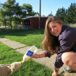 Amy Wyeth at her farm internship in New Zealand 