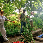 The Bronx is Blooming engages communities in environmental stewardship.