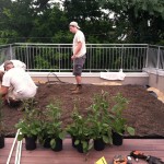 DC Greenworks installs a green roof 