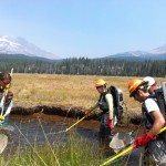 Collecting fish data on Soda Creek prior to a restoration project