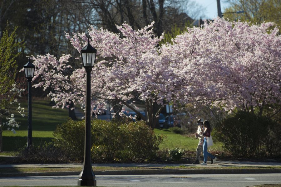 Spring afternoon on historic Quad, April 27, 2021.