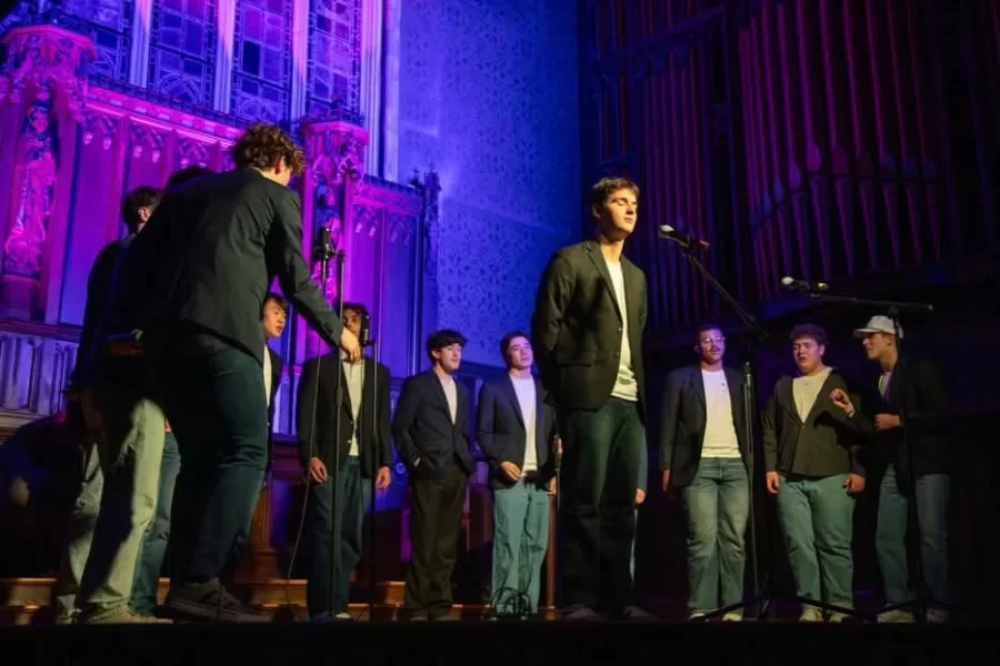 Our five a cappella groups on campus perform multiple times each semester!